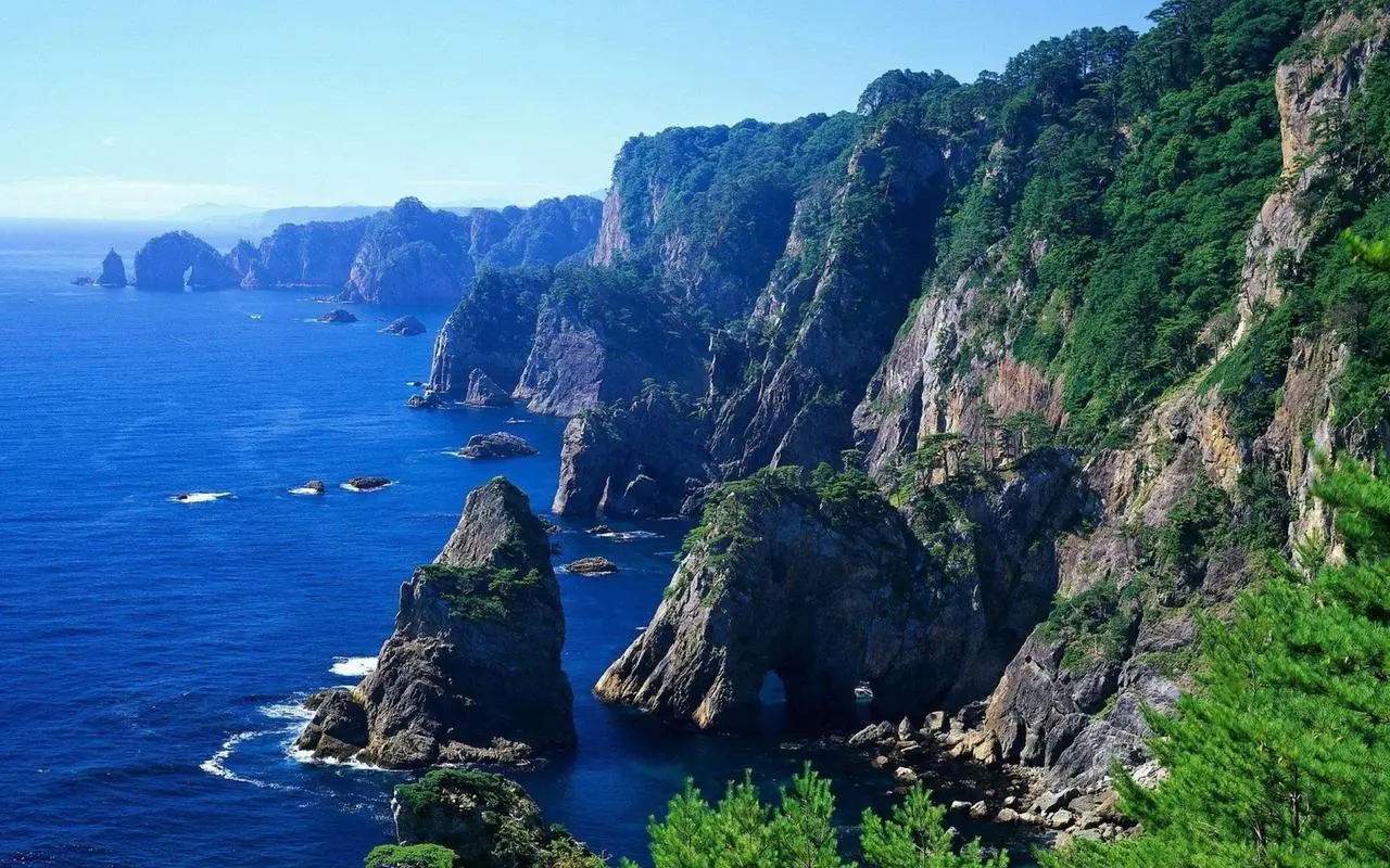 节能全自动高效